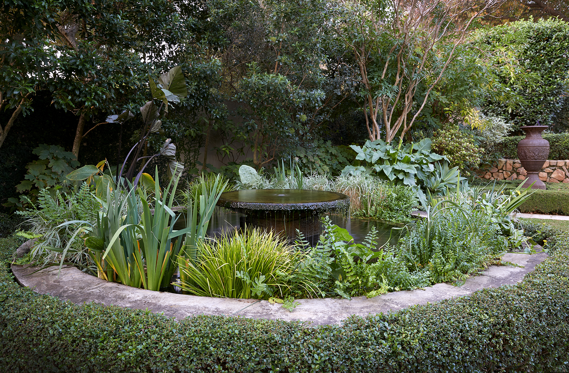 Water feature in a lush round pond surounded by a low hedge, designed by Young Garden Design