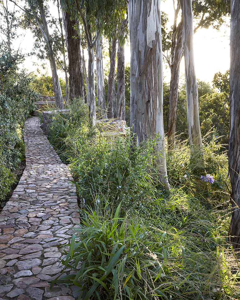 Meandering stone path through a wonderful wild garden at sunset, garden by Young Garden Design.