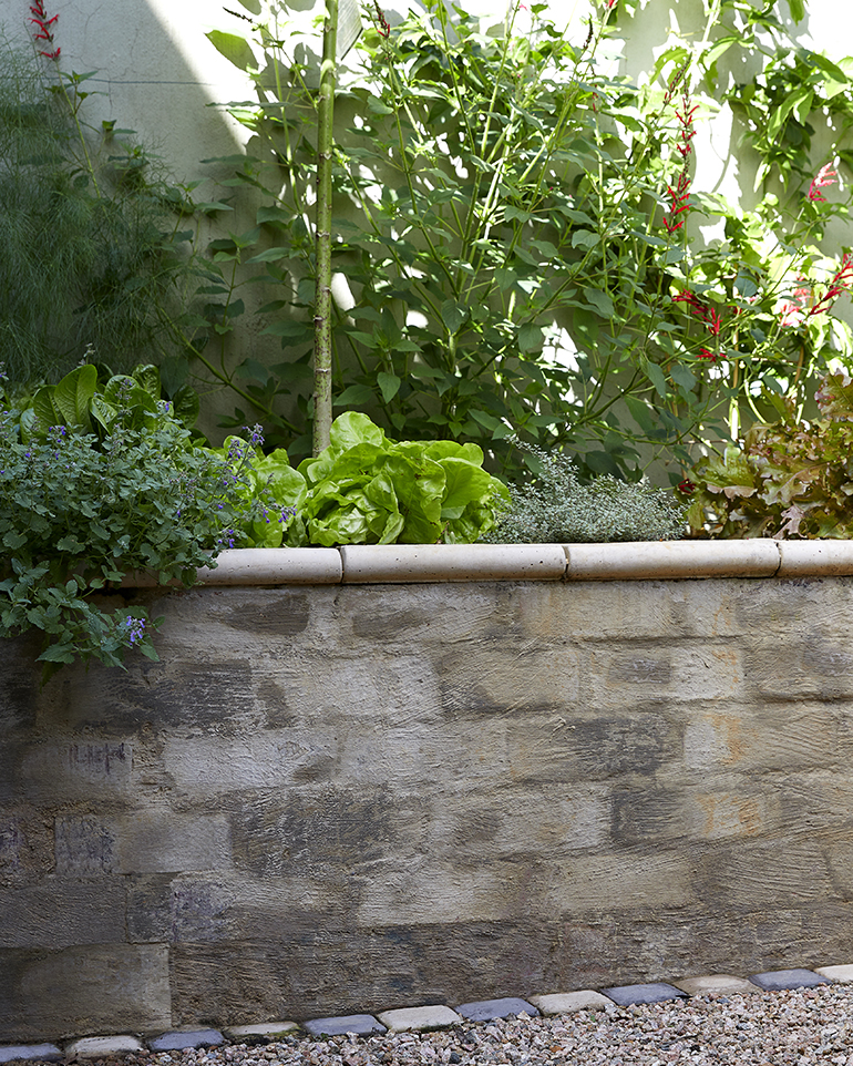 Plastered retaining wall in a kitchen garden by Young Garden Design.