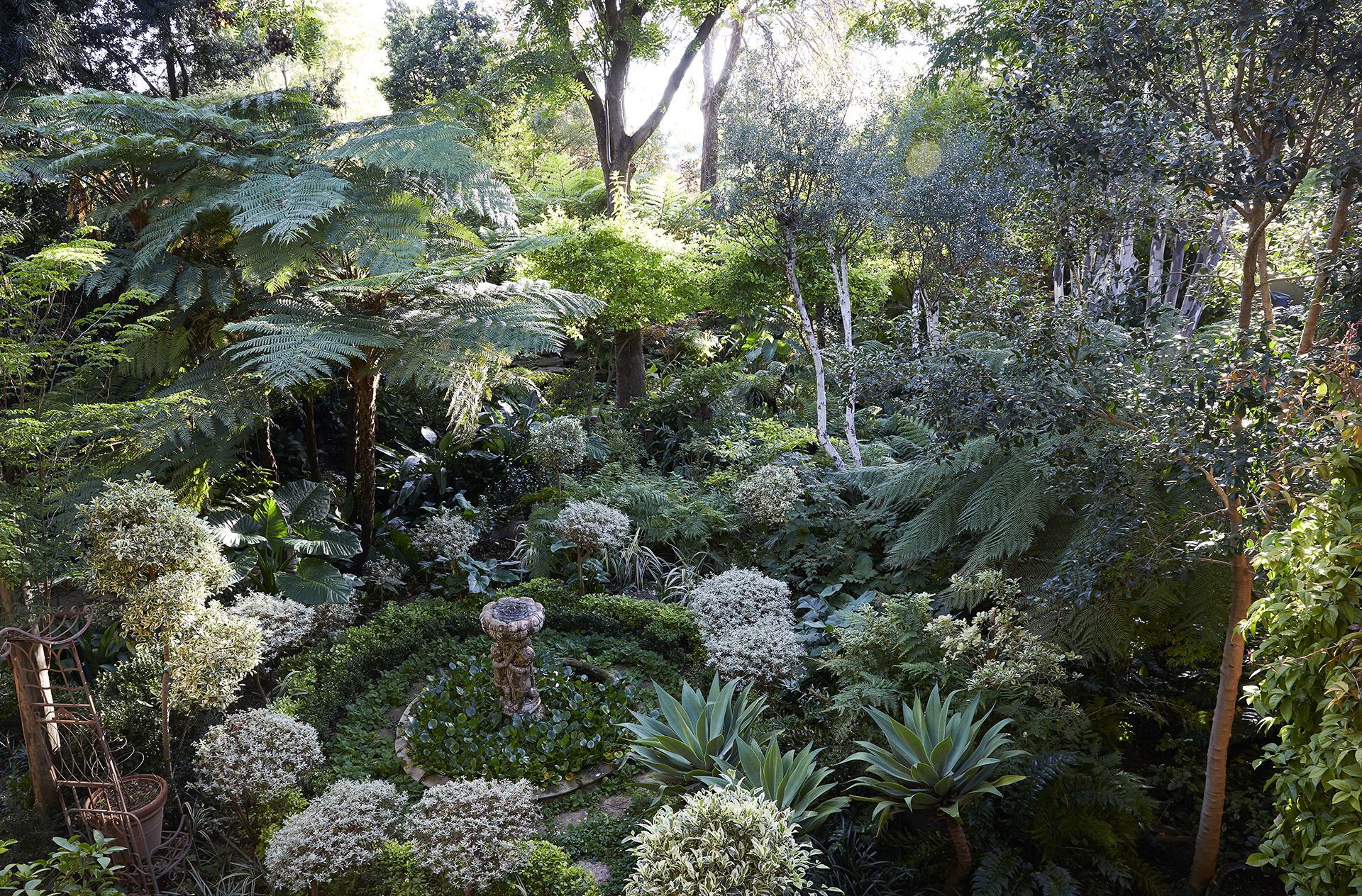 Lush jungle garden with a water feature dwarfed by trees and plants, design by Young Garden Design.
