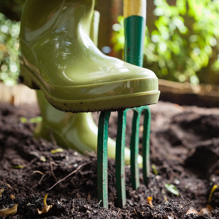 Protective gumboot pushing a garden fork into soil.